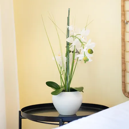 Apartamento Sea View Quarteira